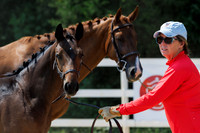 Shirley - Foal
