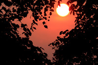 Love in the afternoon